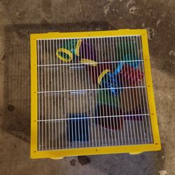 Hamster Mase With Hamster Bedding
