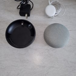 Google Mini W Travel Battery 