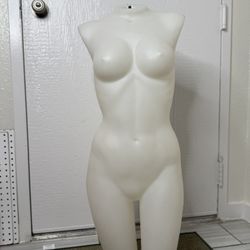 Mannequin Torso  