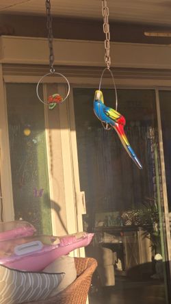 2 hanging parrot ceramic both sold together  25 cash