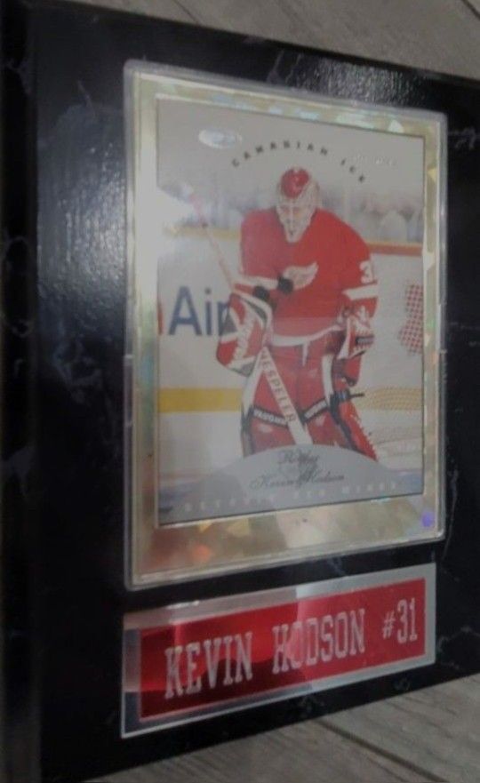Canadian Ice Kevin Hodson Rookie Detroit Red Wings Mounted Plaque 