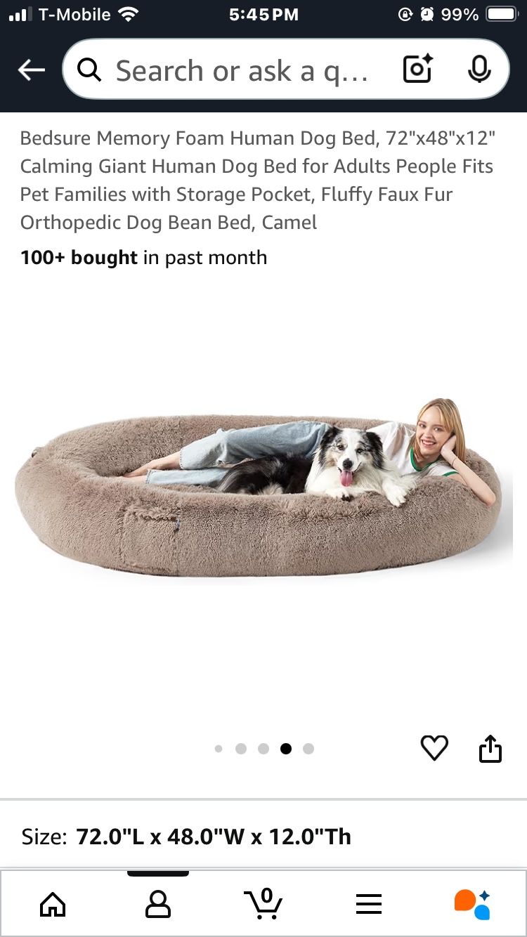 Human Size Dog Bed