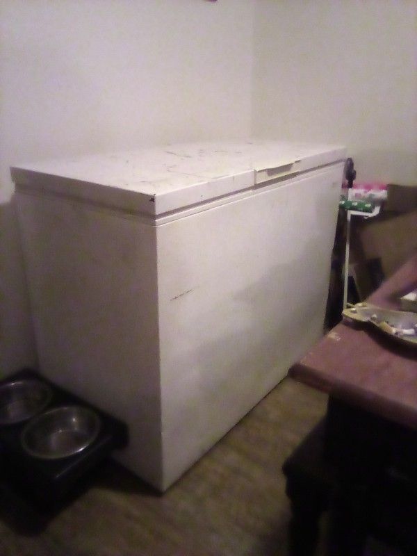Wood's Deep Freezer