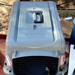 Airport Approved Pet Cat Or Dog