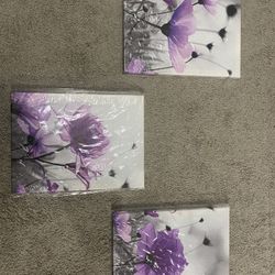 3 Pictures Brand New 