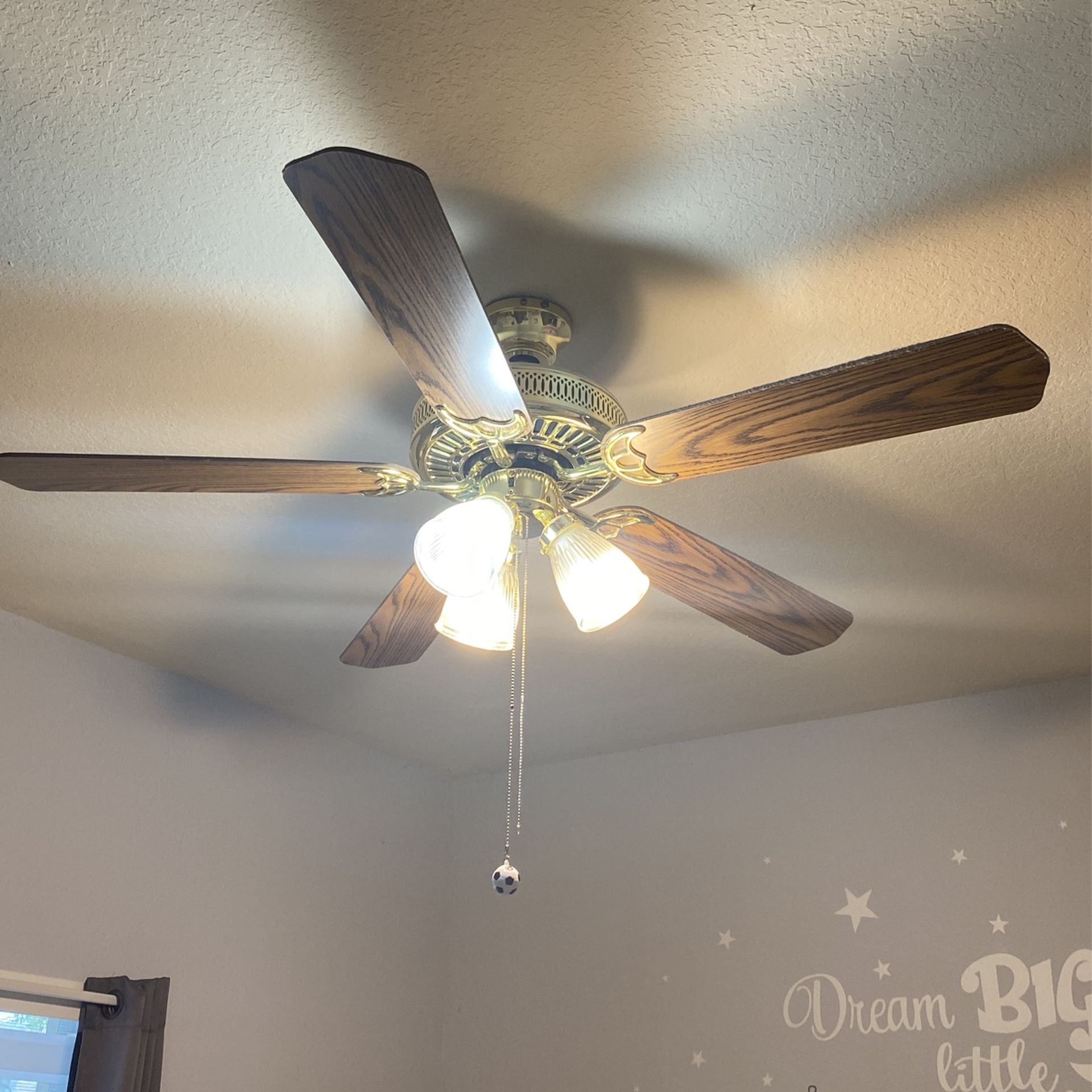 Ceiling Fan With Light