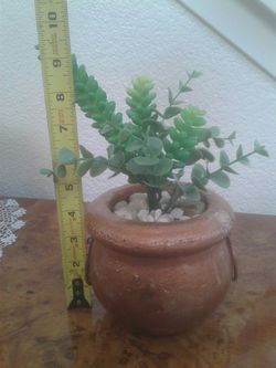 Artificial plant in pot. Asking $10