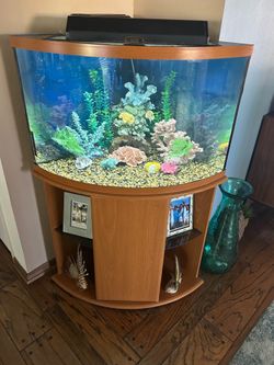 40 gal glass aquarium w/ stand and everything else except fish, excellent condition