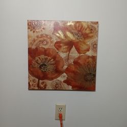Pictures 