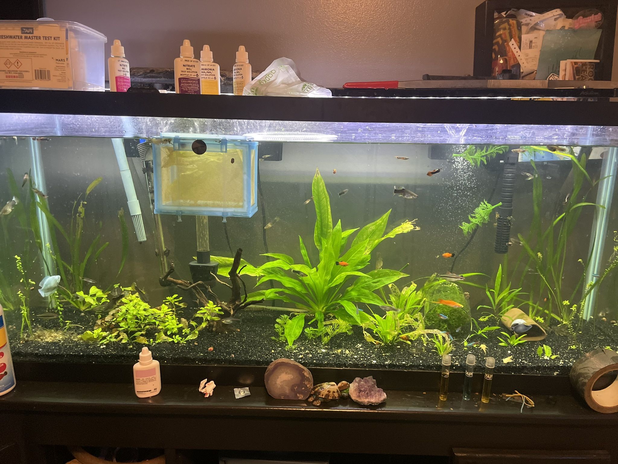 ISO Free Fish Tanks!