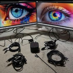 Two HP 24” Monitors with ALL Cables