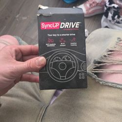 Syncup Drive