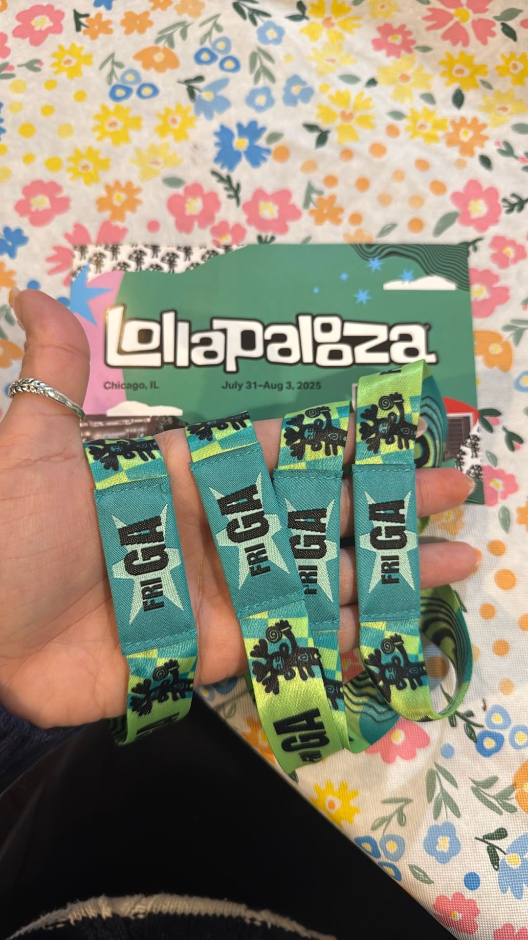 Lollapalooza 