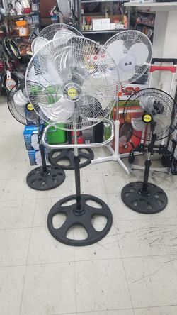 Fan