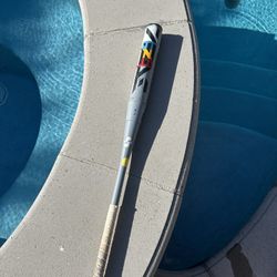 DeMarini Steel Softball Bat 2020