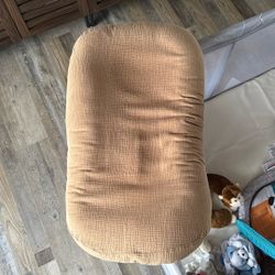 Baby Lounger/pillow 