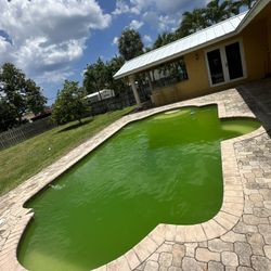 Green Pool Back To Blue 