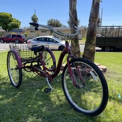 Adult Schwinn Tricycle 