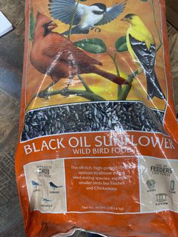 Black Oil Sunflower Wild Bird Food 40lbs Bag Never Open ,