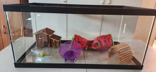 Fish Tank for Hamster