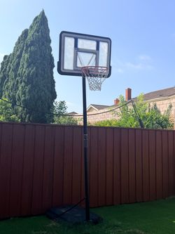Free Basketball court