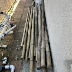 Bamboo Poles 