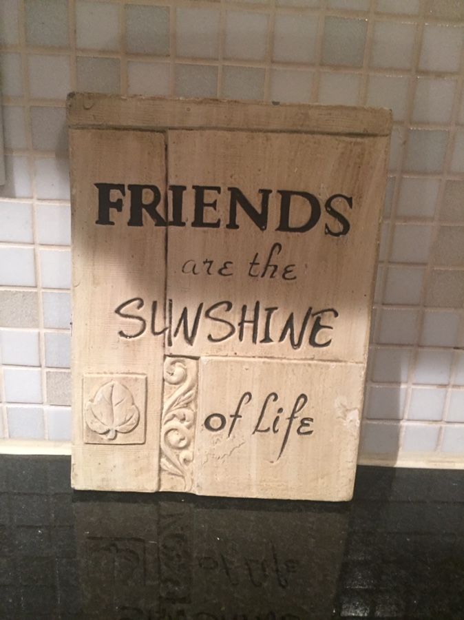 Friends are the sunshine of life wall decor