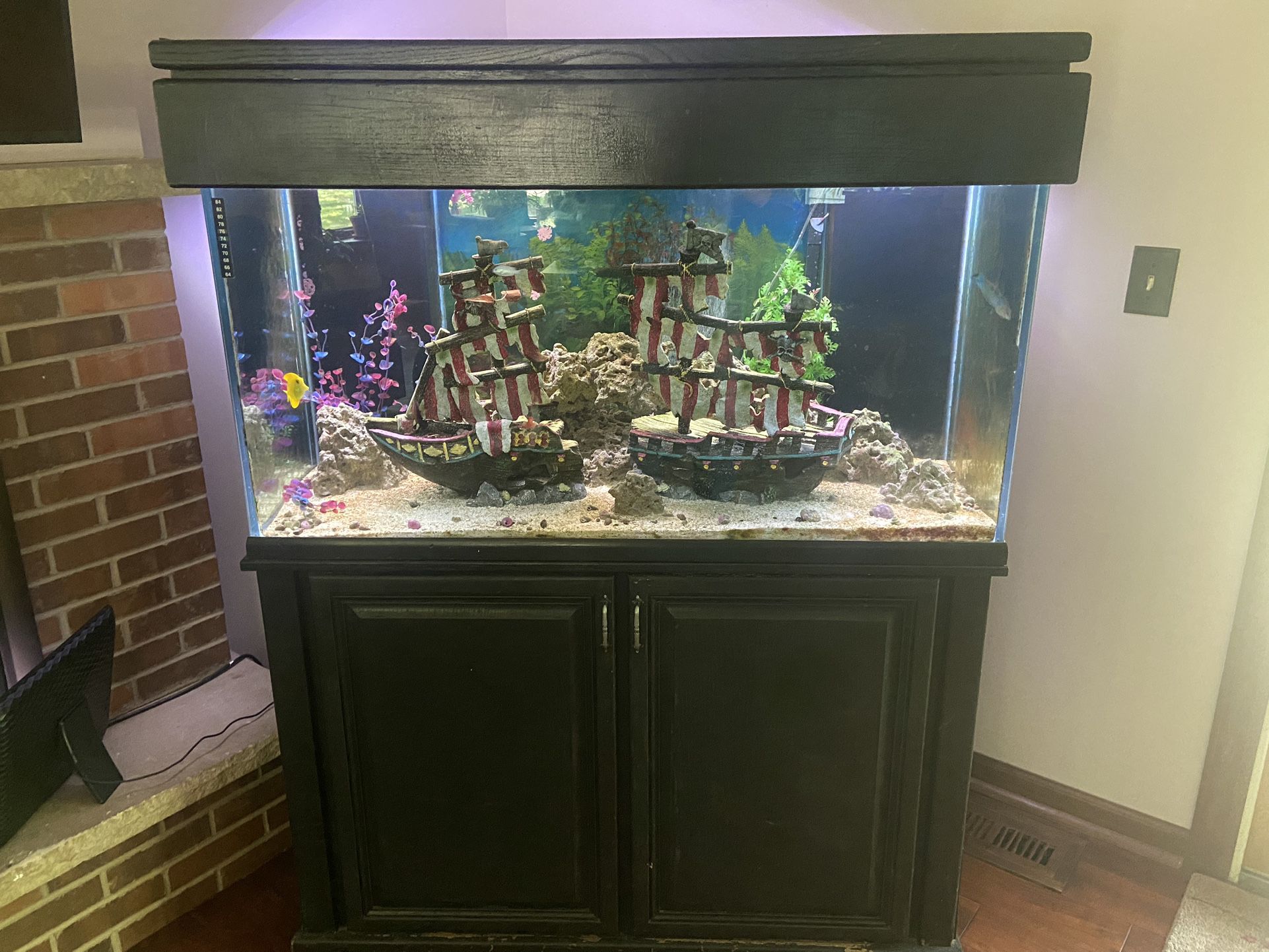 Saltwater Fish Tank 110 Gallon for Sale in Crystal Lake, IL - OfferUp