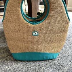 Igloo Cooler Bag