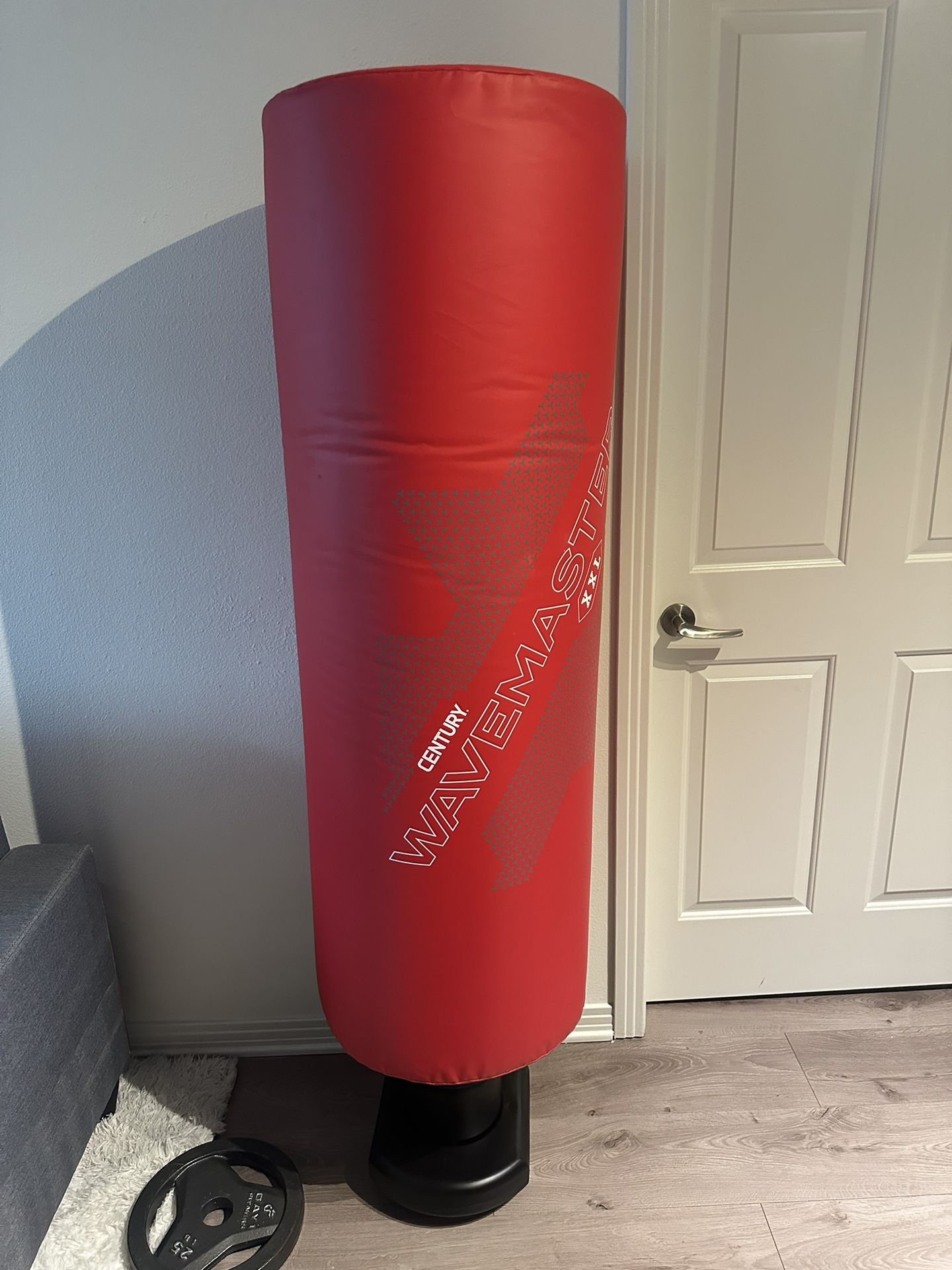 Punching bag 