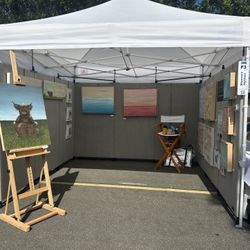 Pro Panels Booth Setup, 9 Panels, 6ft With Extension Legs And All Equipment 