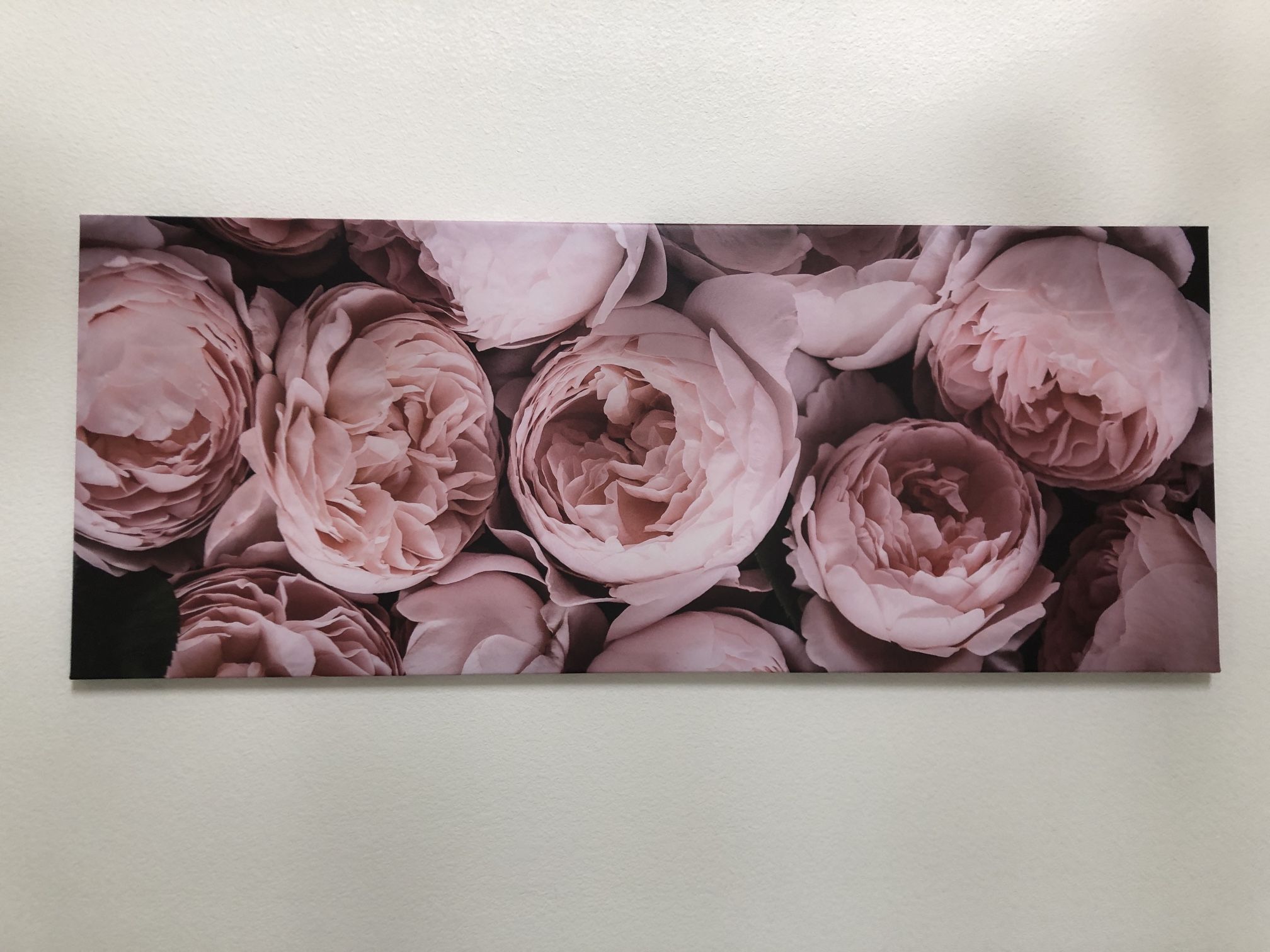 Pink Rose Picture on the Wall