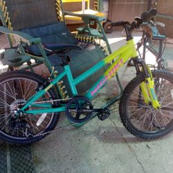 Nishiki 20"  7 speed youth Mountain bike