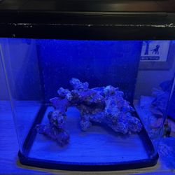 Coralife Smart Bio Cube 16 Gallon Fish Aquarium 