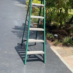 6 Ft Gorilla Ladder