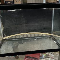 40 Gallon Aquarium 