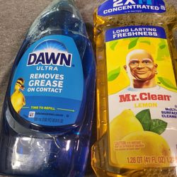 Mr CLEAN & Dawn 