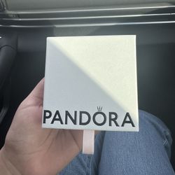 Pandora Bracelet 