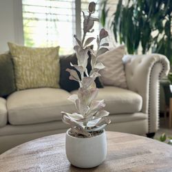 Artifical Plant In Cement Pot by Farmhouse Furniture