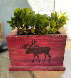 Planter Box With Moose