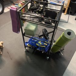 Workout Equipment Cart