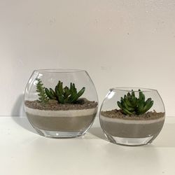 Glass Terrarium Set with Succulents