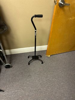 Cane