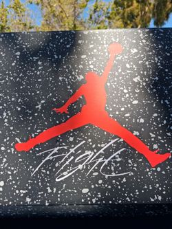 Jordan shoes size 12
