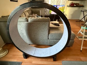 Cat Exercise Wheel