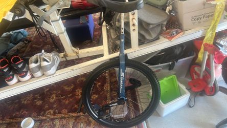 Schwinn 24" Unicycle