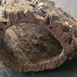 Reptile Wood Decoration 