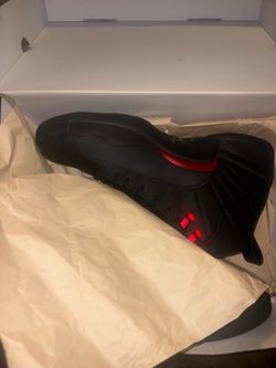 Jordan 12 bloodline