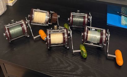 5 Penn Jigmaster with custom rod