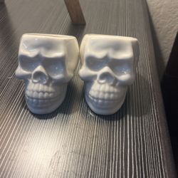 Set Of Two Mini Skull Succulent Planters 